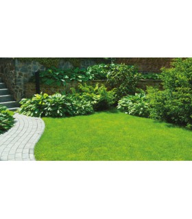 GAZON ST TROPEZ 22MM  RL 2X3M