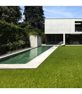 Gazon Synthétique KING - 52mm - Rouleau 1m x 25m