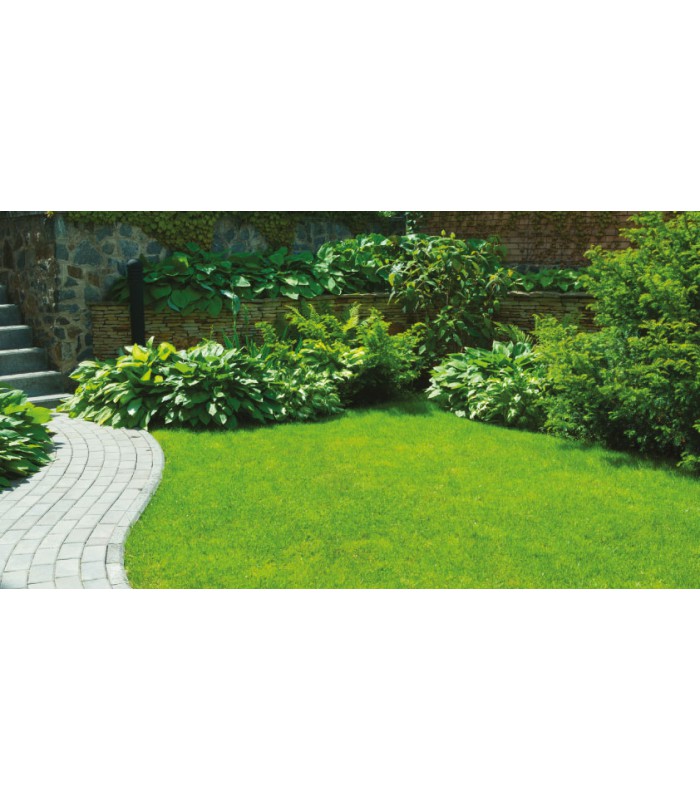 Gazon synthétique - 22mm - Saint Tropez - Rouleau 1m x 3m